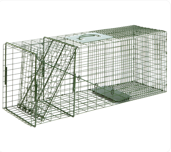 Animal trap