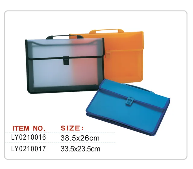 Document Case