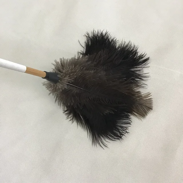 Black ostrich feather duster with long and thin handle