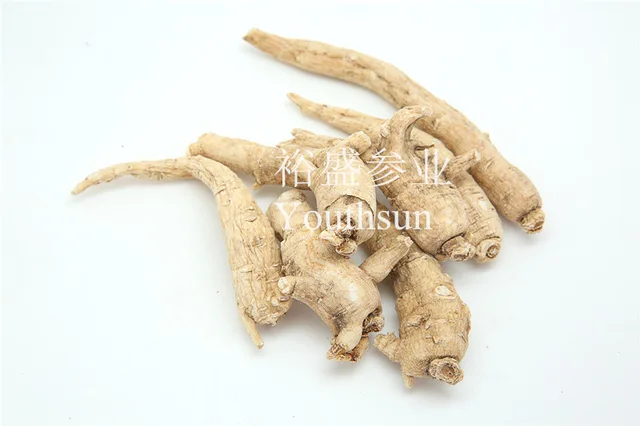 American Ginseng