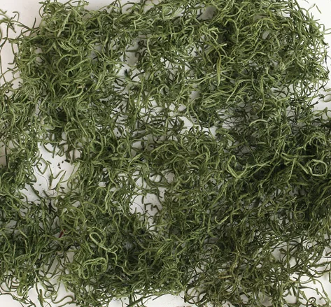 Spain Moss(Preserved)(dry flower;dried flower)