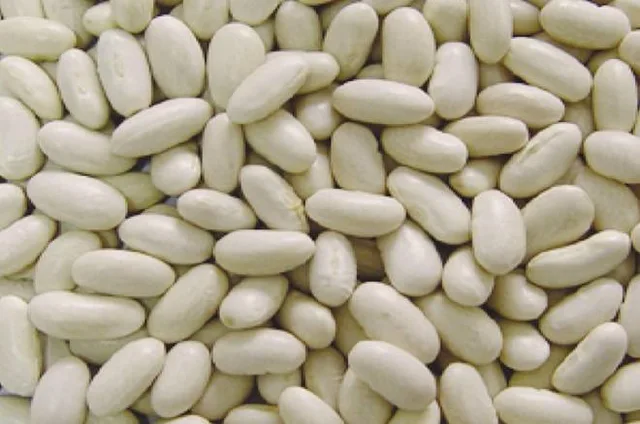 White kidney beans