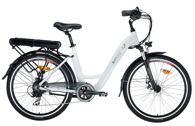 Electric bicycle