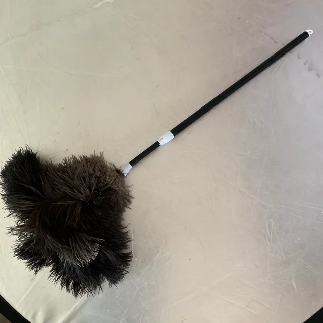 Black ostrich feather duster with long retractable pp handle