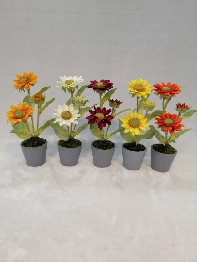 Potted Sunflower