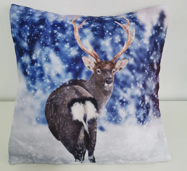 Cushion