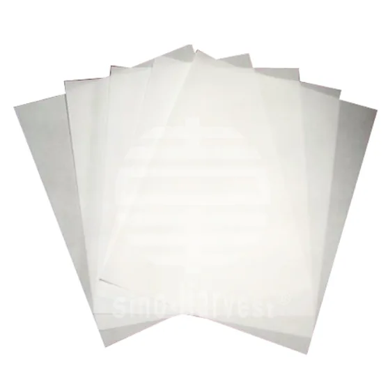 Sandwich Paper