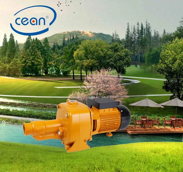 Deep Well Pump
