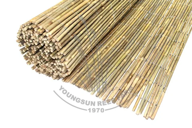 Bamboo Fence