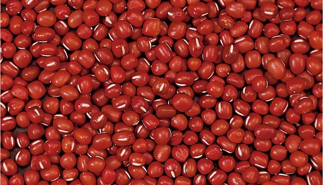 Small Red Beans