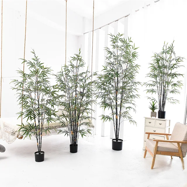 Bamboo leaves plants bamboo bonsai tree