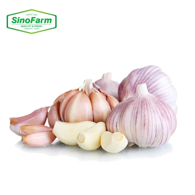 Fresh Garlic, 500g*20, 10kg/carton