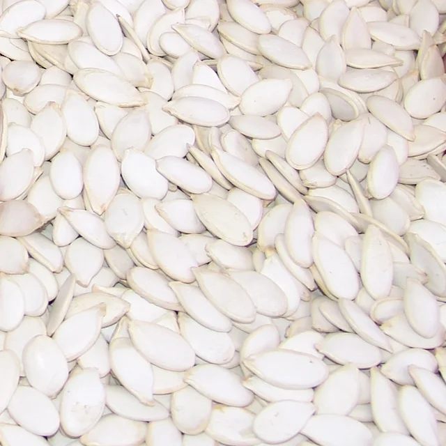 Pumpkin seeds