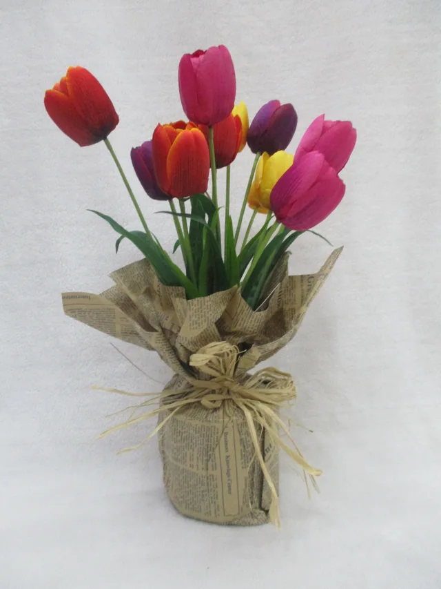 Potted Tulip