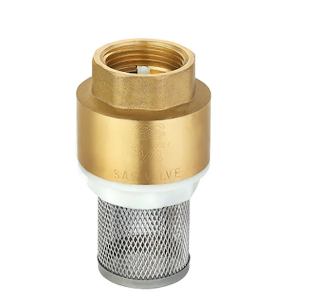 Brass check valve with stainless steel filter