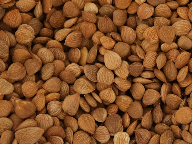 Bitter apricot kernels