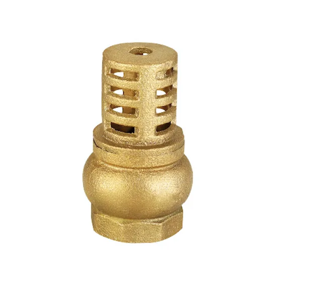 Brass Double Guide Foot Valve