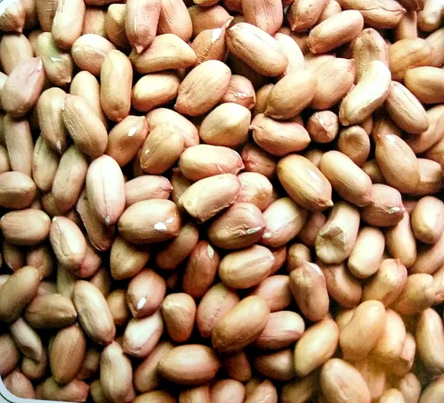 Peanut Kernels(Long Shape)