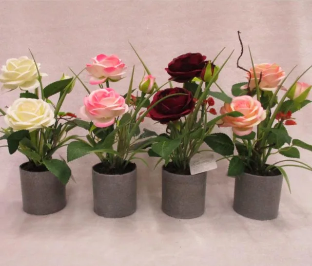 8#potted Rose