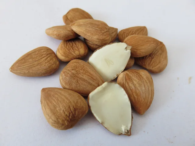 Longwang Sweet apricot kernels