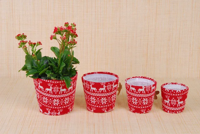 Flower Pot