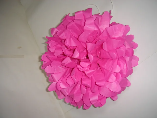 Tissue paper Pom Pom