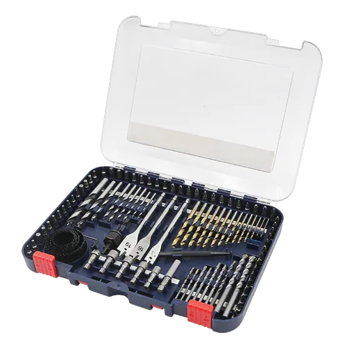100pcs Drill Bits Set