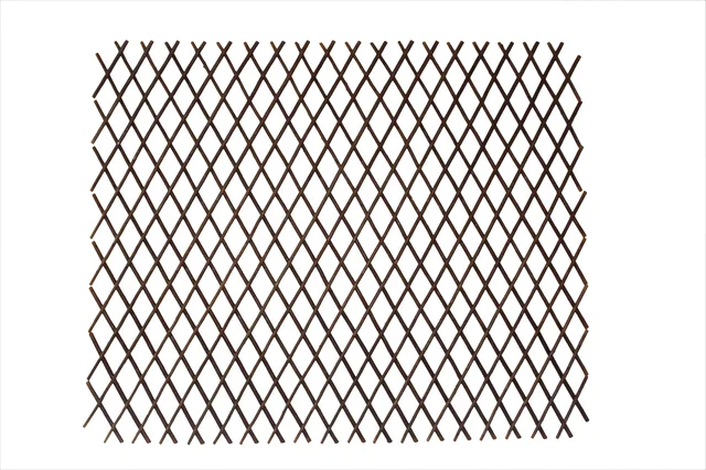 Expandable willow trellis