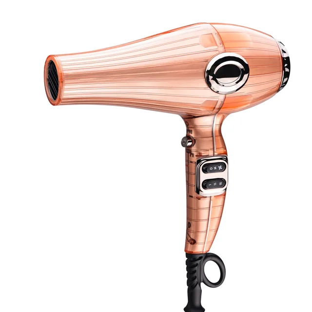 Professional hair dryer