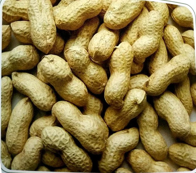 Peanut Inshell