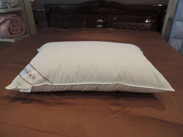 Duck Down Pillow