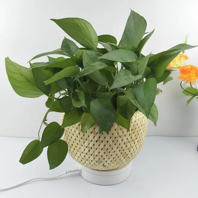 Bamboo baskets bamboo baskets planting eco-friendly flower baskets