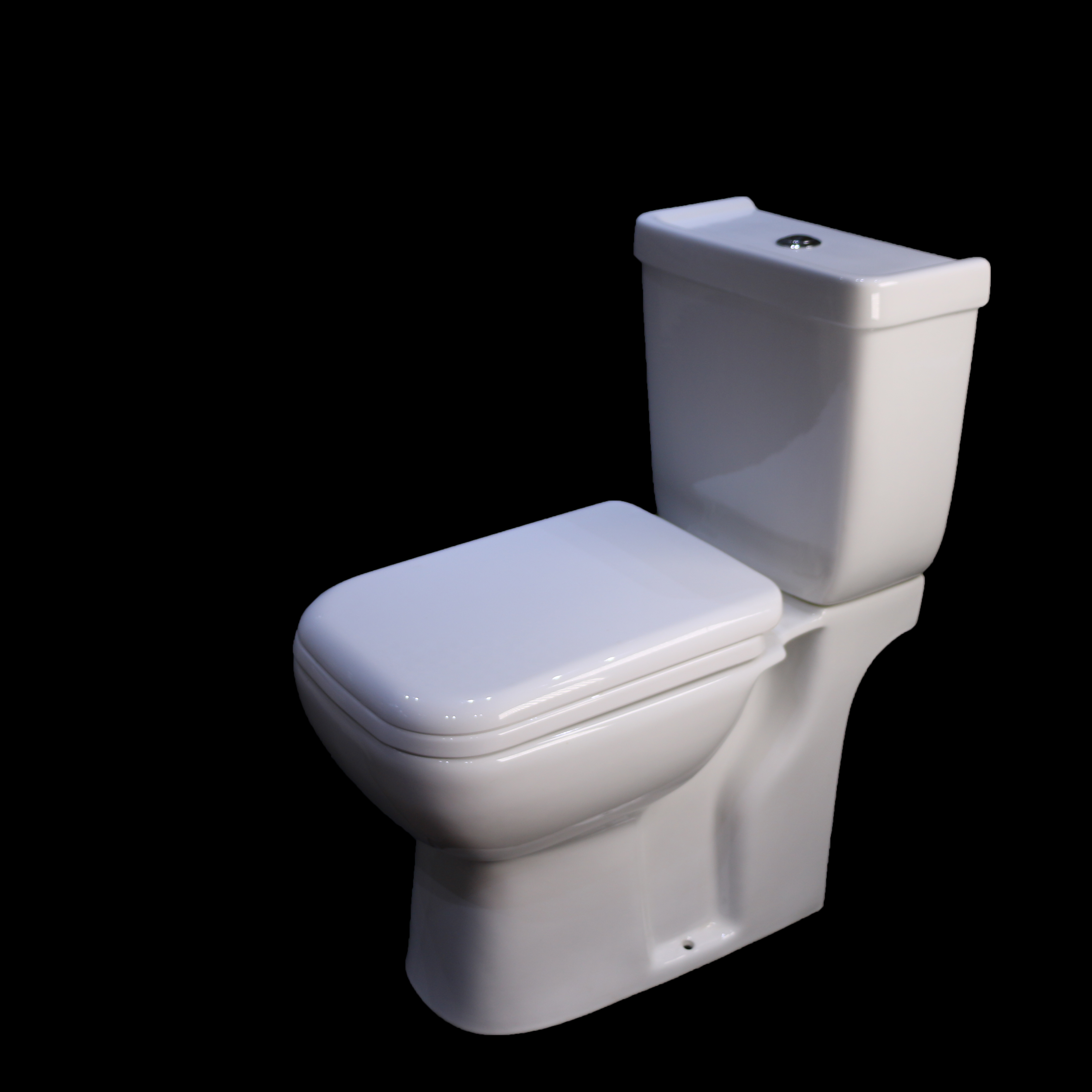 Round economic european dual flush toilet