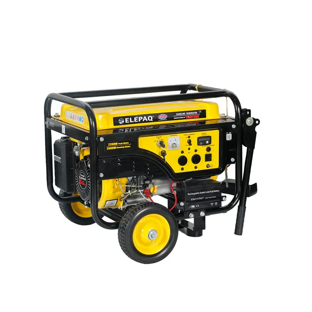 Gasoline generator