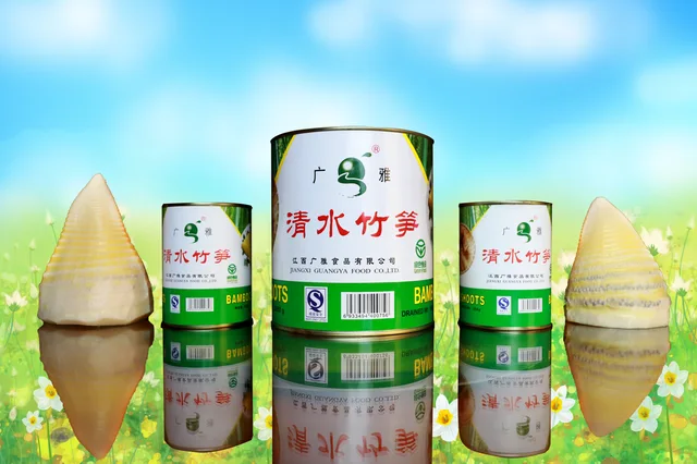 Canned Water Bamboo Shoots
