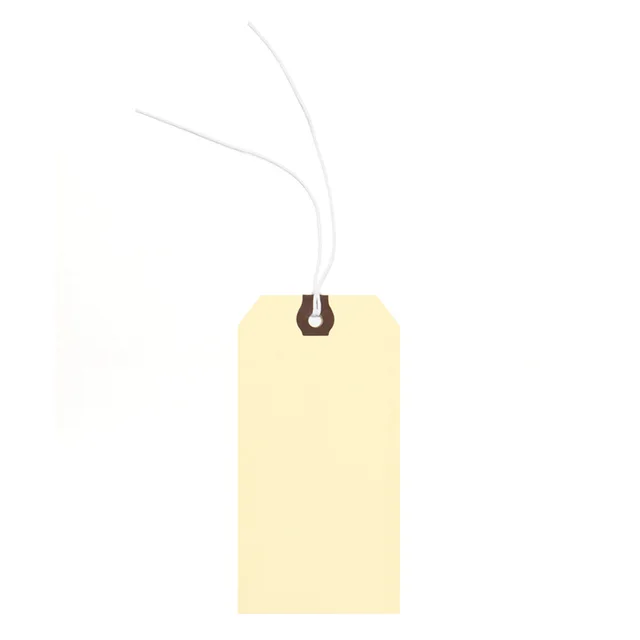 PT1206 Kraft Manila Paper Tags