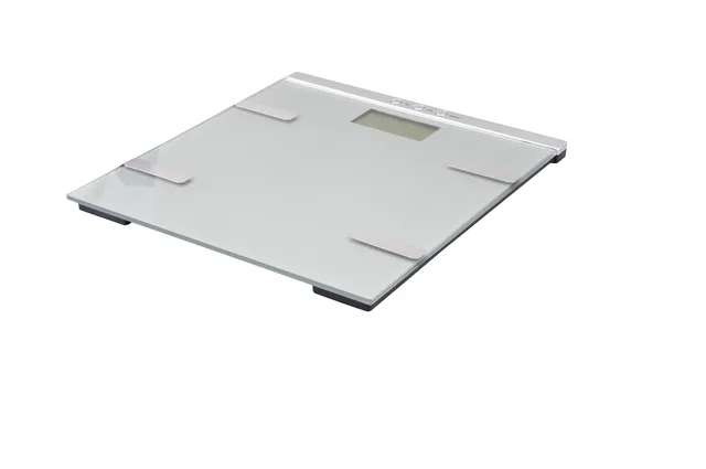 Body fat scale