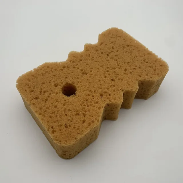 Wash Sponge