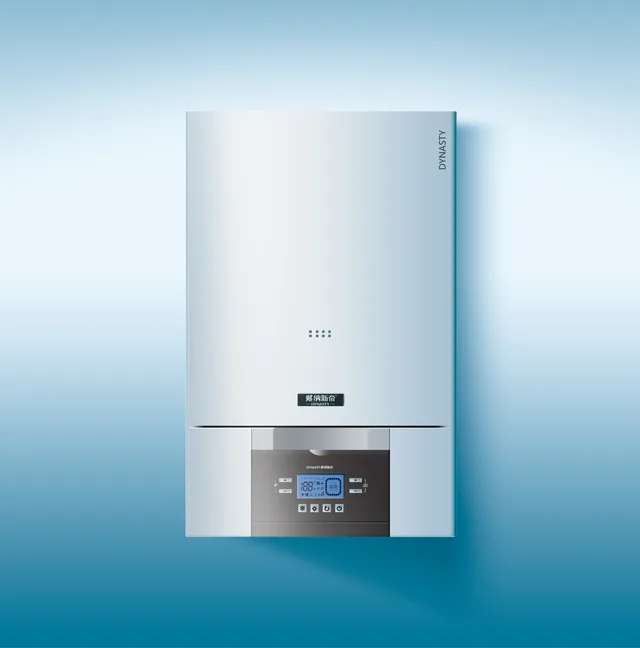 Wall Hung Gas Boiler