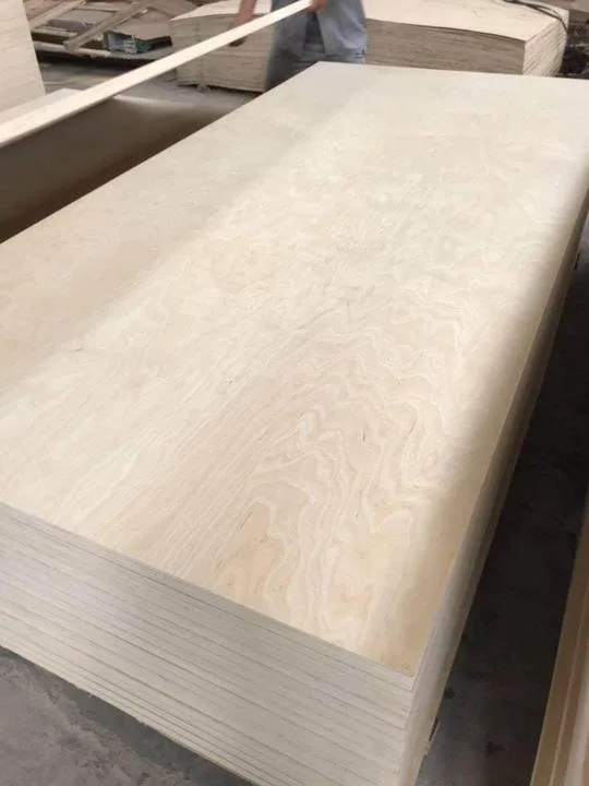 Birch plywood