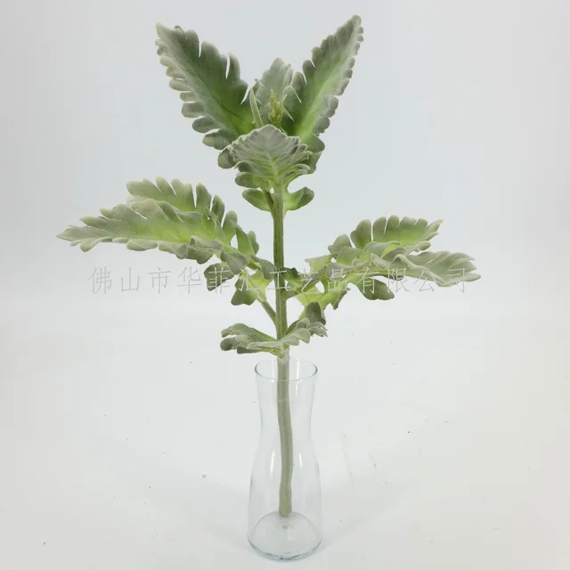38cm Senecio Cinerariax9
