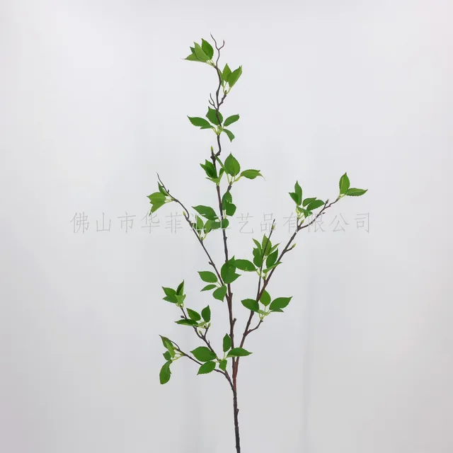 119cm Evergreen