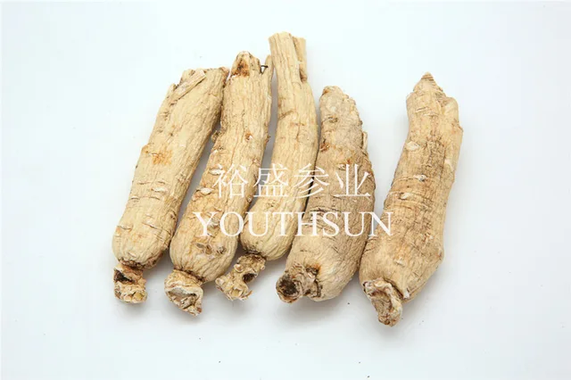White Ginseng