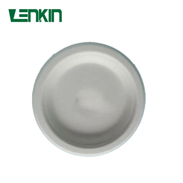9 inch Round Plate