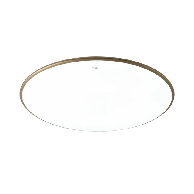 LED Ceiling Light