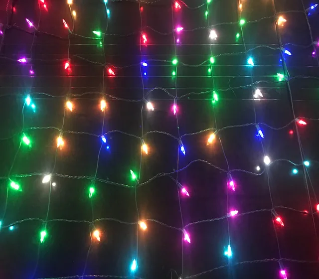 RGB string light UL Listed 110V LED Xmas light with contraller