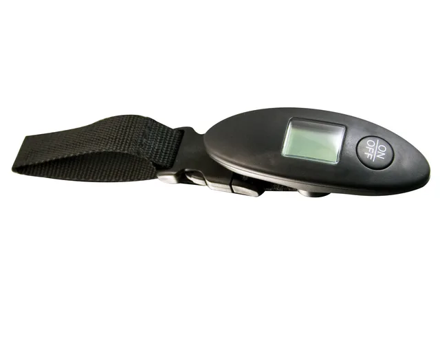 Luggage scale