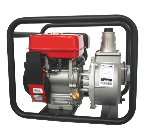 Gasoline engine pump