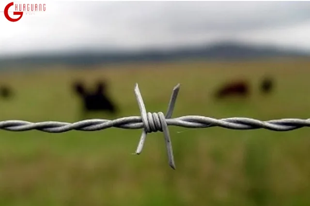 Barbed wire