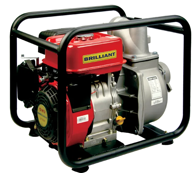 Gasoline engine pump